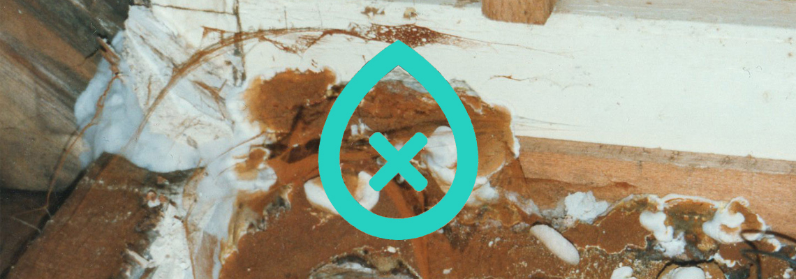 Wet Rot | I Need damp proofing